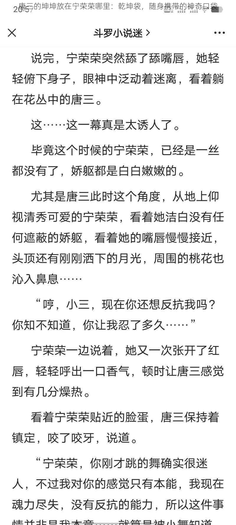 唐三的坤坤放在宁荣荣哪里：乾坤袋，随身携带的神奇口袋