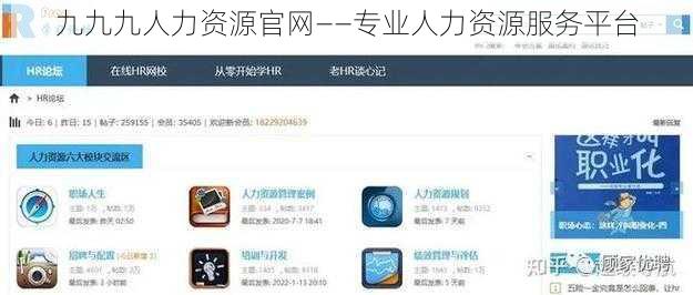 九九九人力资源官网——专业人力资源服务平台