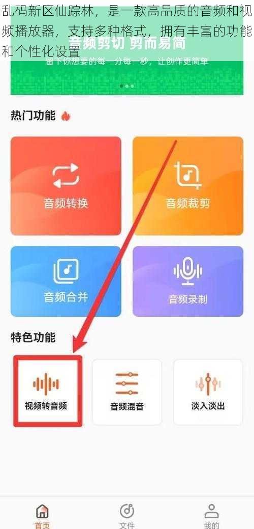 乱码新区仙踪林，是一款高品质的音频和视频播放器，支持多种格式，拥有丰富的功能和个性化设置