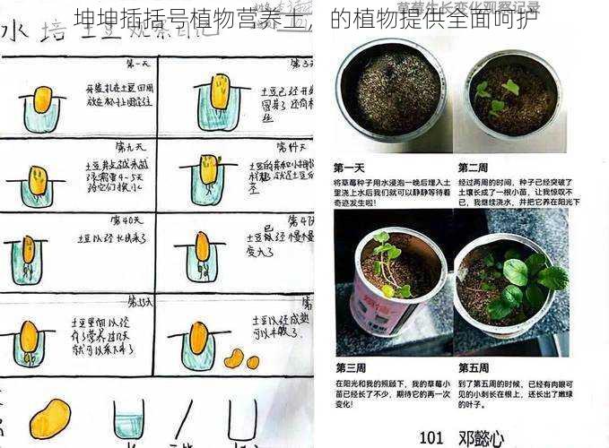 坤坤插括号植物营养土，的植物提供全面呵护