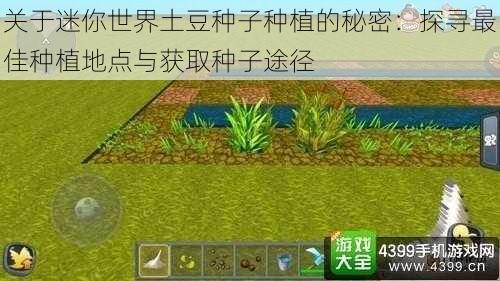 关于迷你世界土豆种子种植的秘密：探寻最佳种植地点与获取种子途径