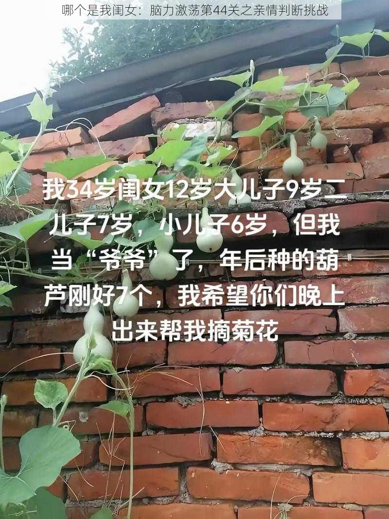 哪个是我闺女：脑力激荡第44关之亲情判断挑战