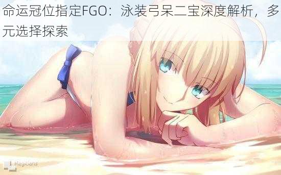 命运冠位指定FGO：泳装弓呆二宝深度解析，多元选择探索