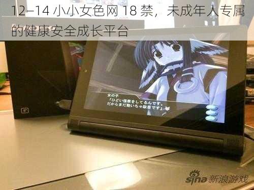 12—14 小小女色网 18 禁，未成年人专属的健康安全成长平台