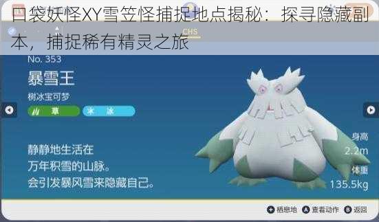 口袋妖怪XY雪笠怪捕捉地点揭秘：探寻隐藏副本，捕捉稀有精灵之旅