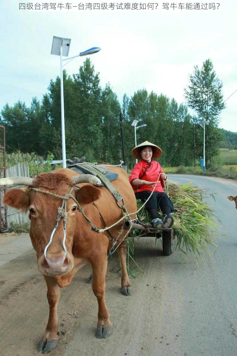 四级台湾驾牛车—台湾四级考试难度如何？驾牛车能通过吗？