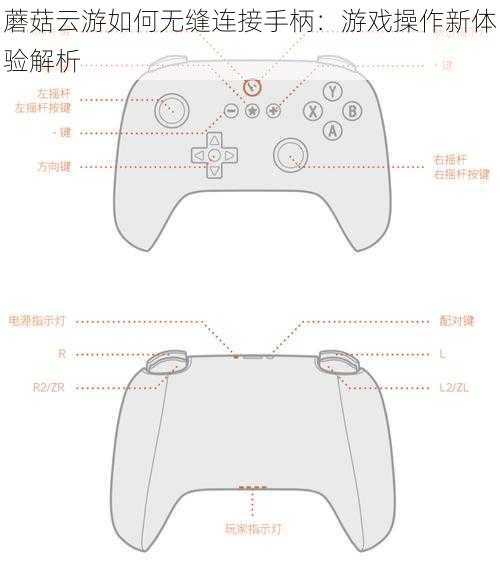 蘑菇云游如何无缝连接手柄：游戏操作新体验解析