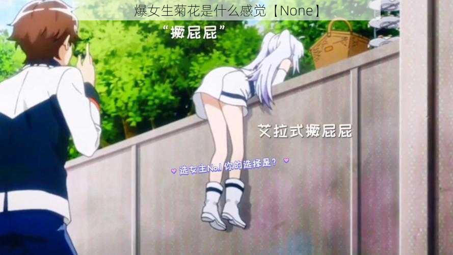 爆女生菊花是什么感觉【None】