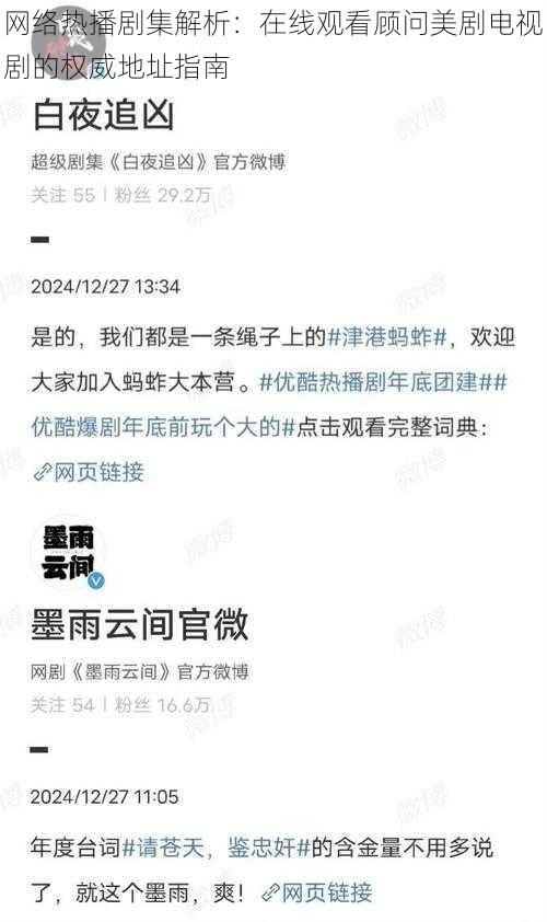 网络热播剧集解析：在线观看顾问美剧电视剧的权威地址指南