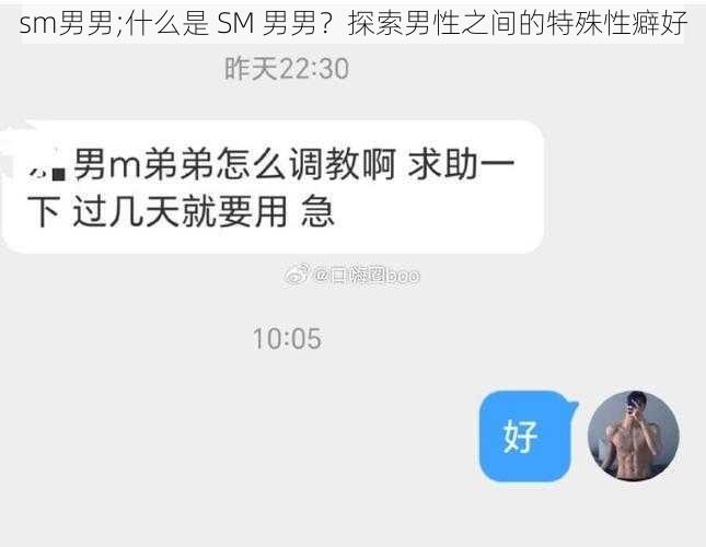 sm男男;什么是 SM 男男？探索男性之间的特殊性癖好