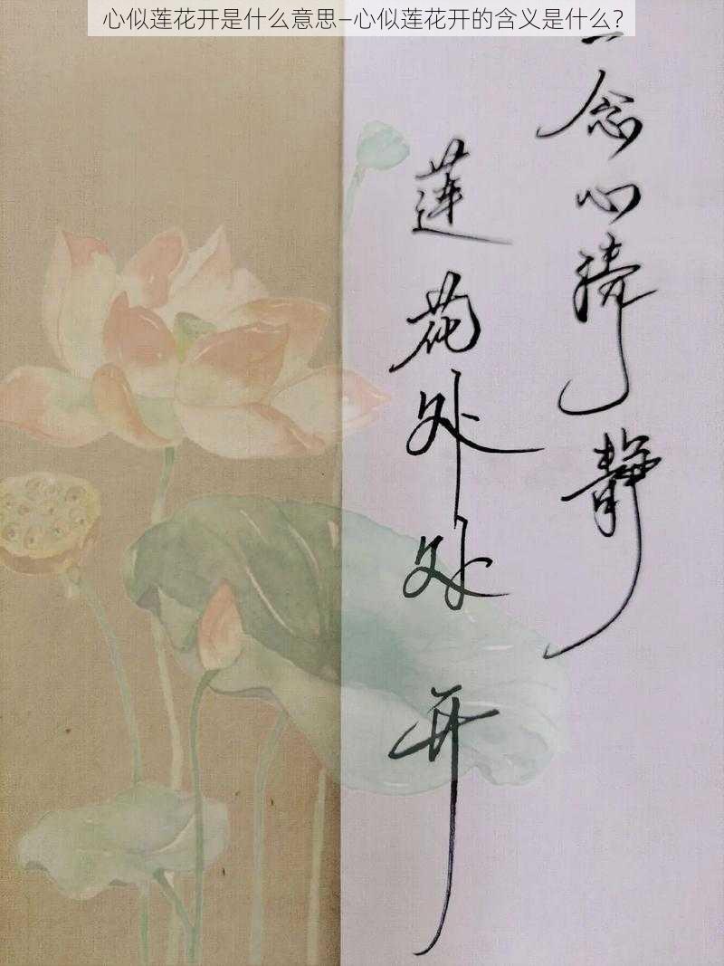 心似莲花开是什么意思—心似莲花开的含义是什么？