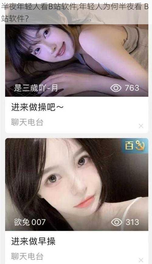 半夜年轻人看B站软件,年轻人为何半夜看 B 站软件？