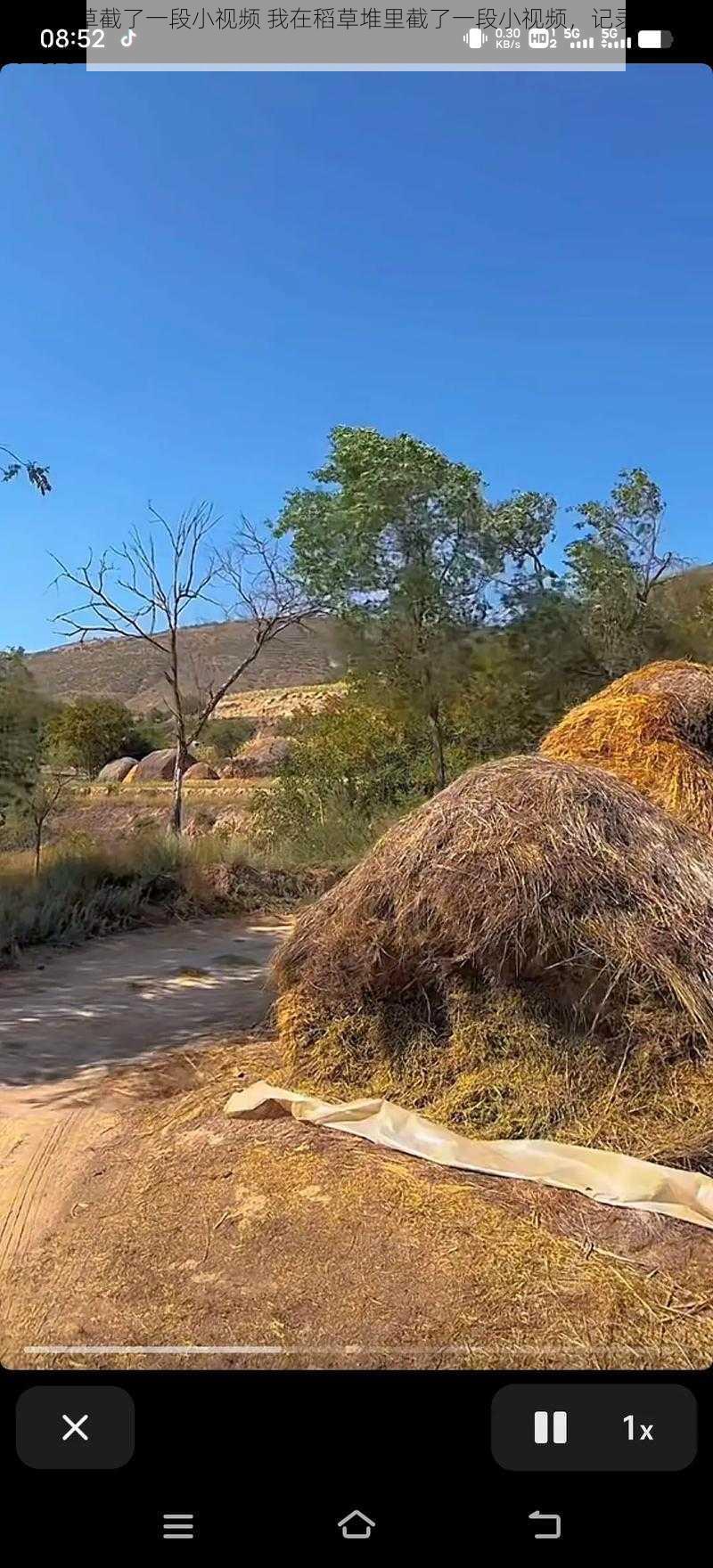 我在稻草截了一段小视频 我在稻草堆里截了一段小视频，记录下这美好时光