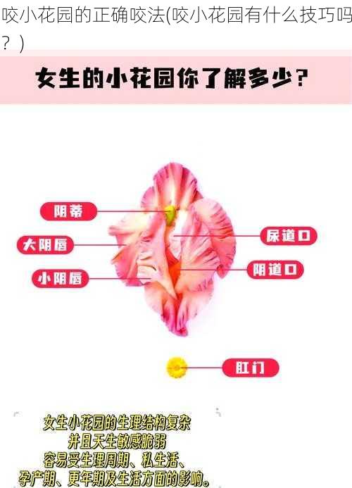 咬小花园的正确咬法(咬小花园有什么技巧吗？)