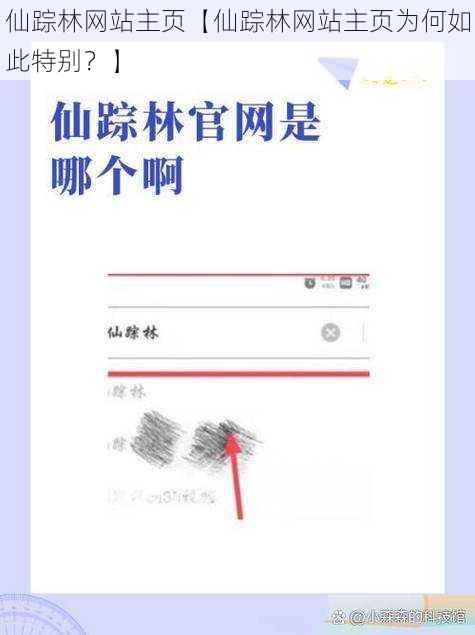 仙踪林网站主页【仙踪林网站主页为何如此特别？】