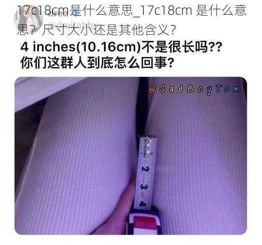 17c18cm是什么意思_17c18cm 是什么意思？尺寸大小还是其他含义？