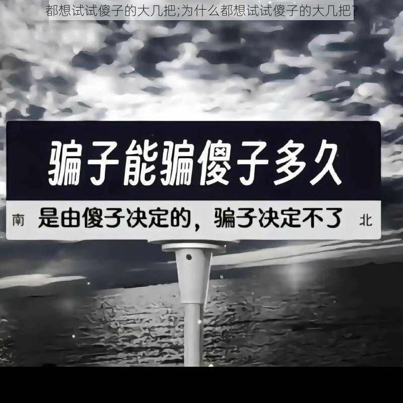 都想试试傻子的大几把;为什么都想试试傻子的大几把？