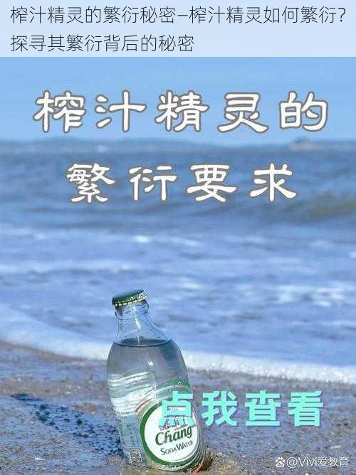 榨汁精灵的繁衍秘密—榨汁精灵如何繁衍？探寻其繁衍背后的秘密