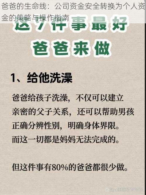 爸爸的生命线：公司资金安全转换为个人资金的策略与操作指南