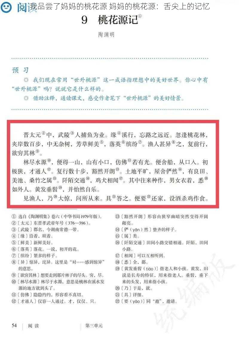 我品尝了妈妈的桃花源 妈妈的桃花源：舌尖上的记忆