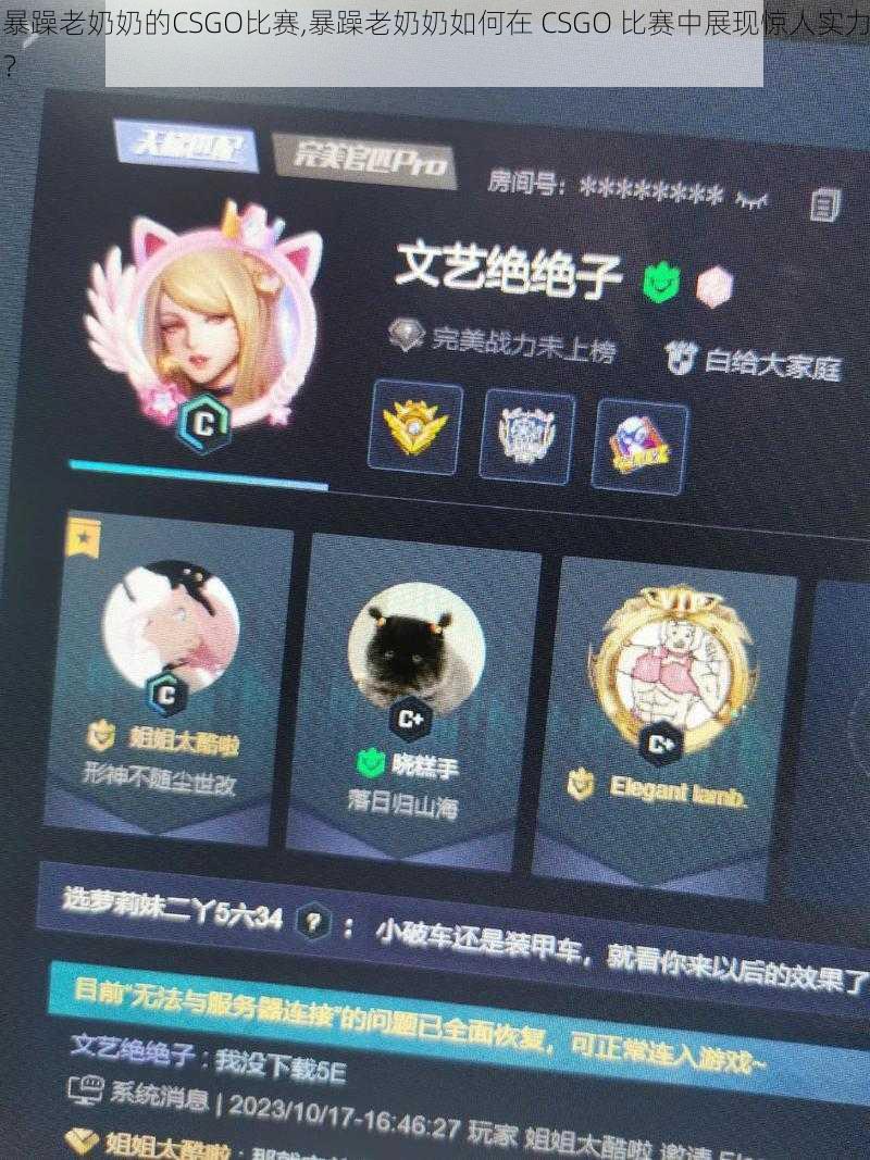 暴躁老奶奶的CSGO比赛,暴躁老奶奶如何在 CSGO 比赛中展现惊人实力？