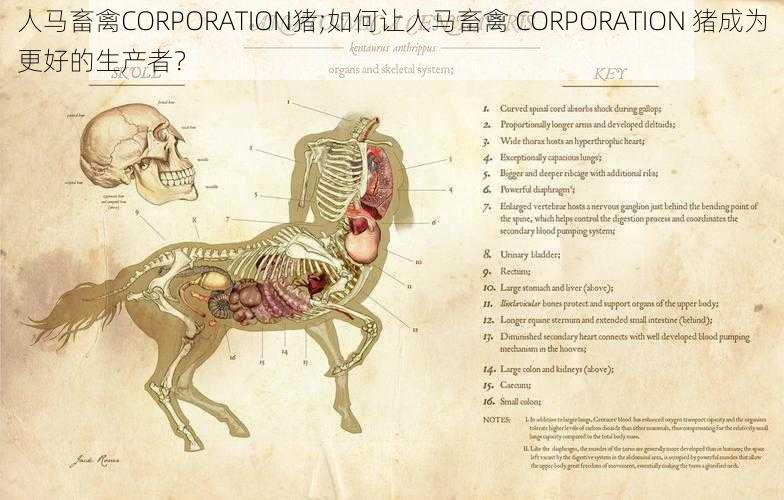 人马畜禽CORPORATION猪;如何让人马畜禽 CORPORATION 猪成为更好的生产者？