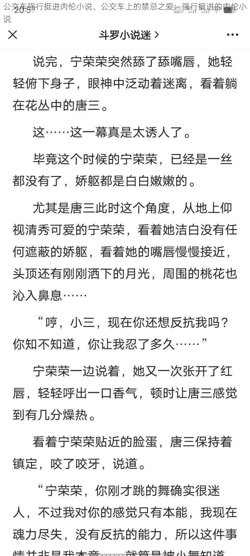 公交车强行挺进肉伦小说、公交车上的禁忌之爱：强行挺进的肉伦小说