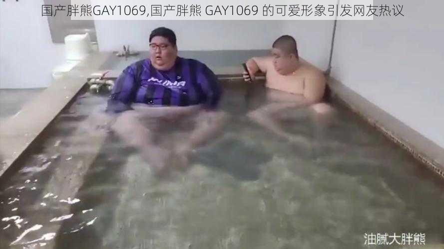 国产胖熊GAY1069,国产胖熊 GAY1069 的可爱形象引发网友热议