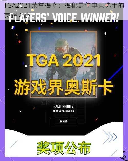 TGA2021荣誉揭晓：揭秘最佳电竞选手的荣耀之路