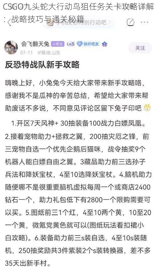 CSGO九头蛇大行动鸟狙任务关卡攻略详解：战略技巧与通关秘籍