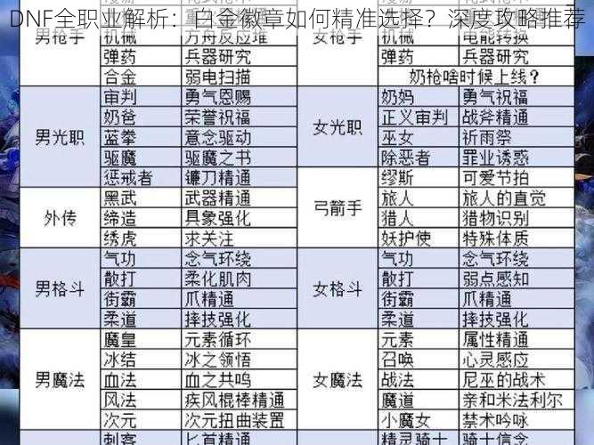 DNF全职业解析：白金徽章如何精准选择？深度攻略推荐