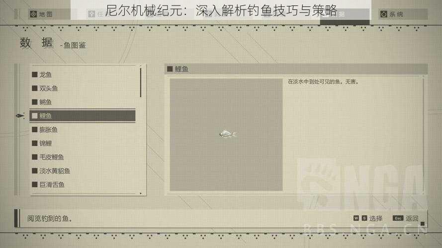 尼尔机械纪元：深入解析钓鱼技巧与策略