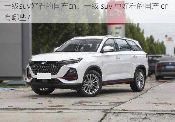 一级suv好看的国产cn、一级 suv 中好看的国产 cn 有哪些？