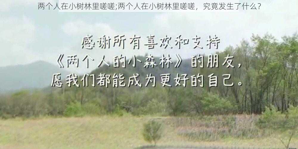 两个人在小树林里嗟嗟;两个人在小树林里嗟嗟，究竟发生了什么？