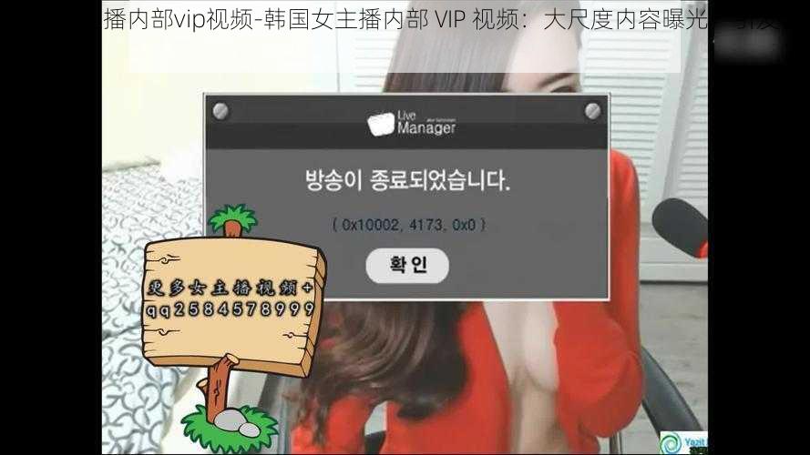 韩国女主播内部vip视频-韩国女主播内部 VIP 视频：大尺度内容曝光，引发网友热议