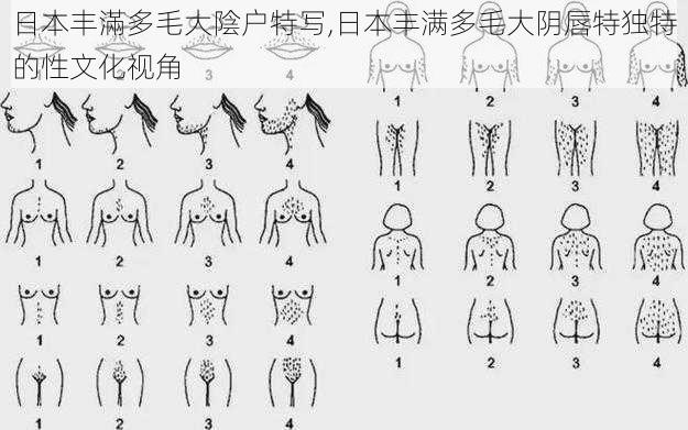 日本丰滿多毛大陰户特写,日本丰满多毛大阴唇特独特的性文化视角