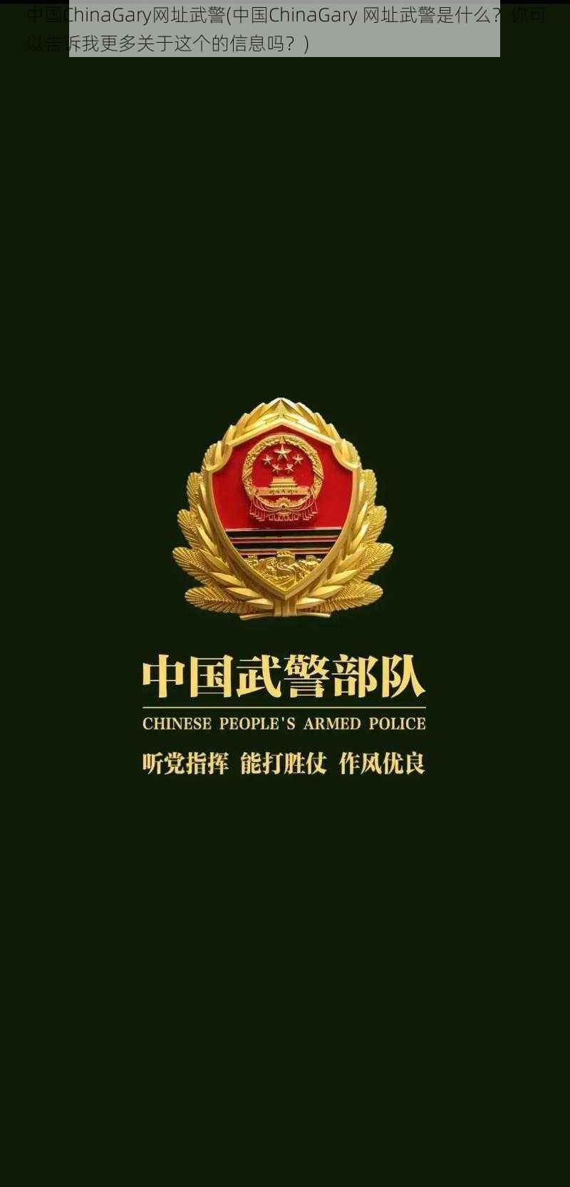 中国ChinaGary网址武警(中国ChinaGary 网址武警是什么？你可以告诉我更多关于这个的信息吗？)