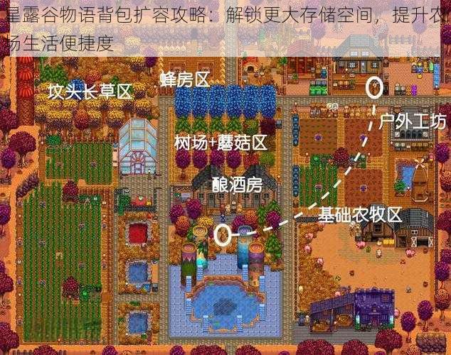 星露谷物语背包扩容攻略：解锁更大存储空间，提升农场生活便捷度