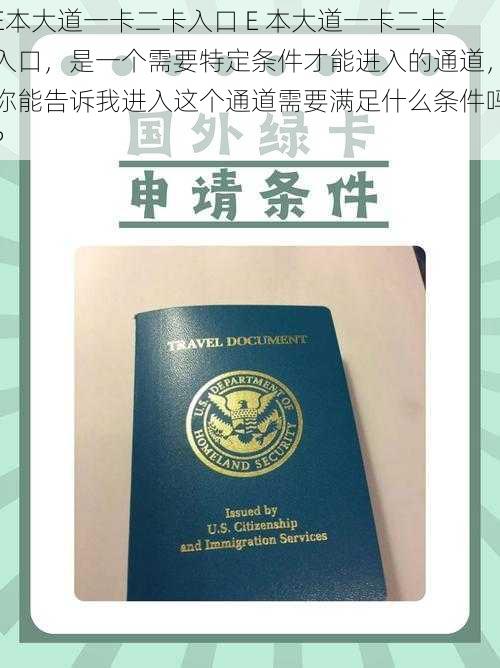 E本大道一卡二卡入口 E 本大道一卡二卡入口，是一个需要特定条件才能进入的通道，你能告诉我进入这个通道需要满足什么条件吗？