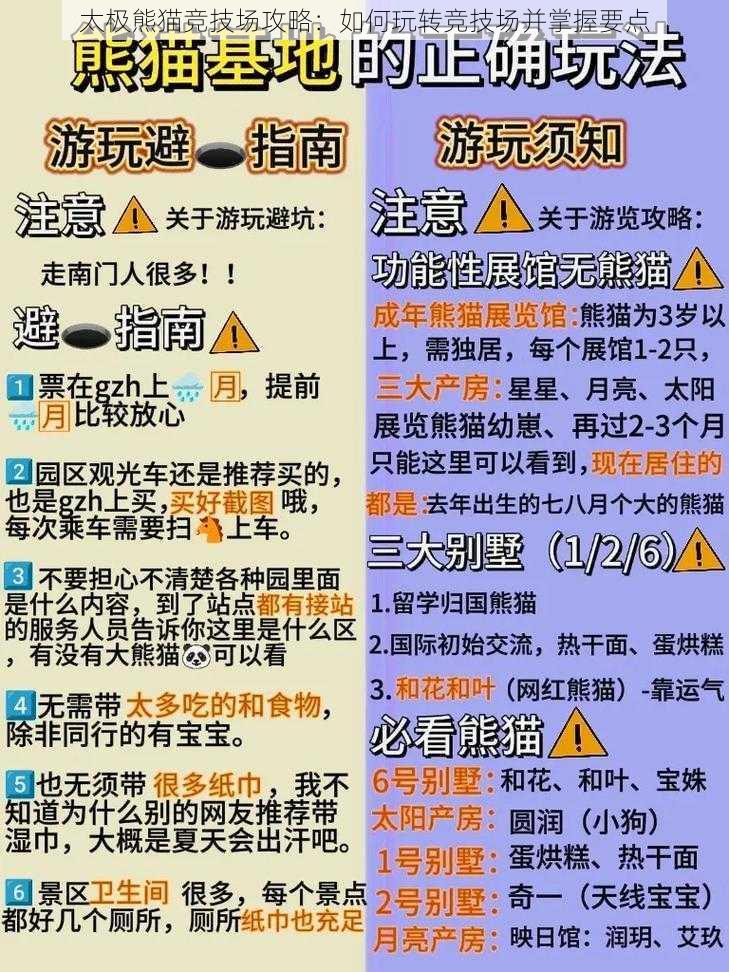 太极熊猫竞技场攻略：如何玩转竞技场并掌握要点