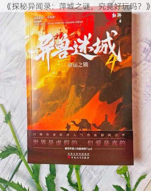 《探秘异闻录：萍城之谜，究竟好玩吗？》