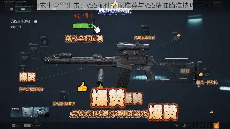 《绝地求生全军出击：VSS配件搭配推荐与VSS精准瞄准技巧详解》