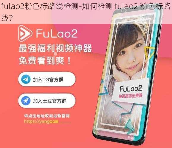 fulao2粉色标路线检测-如何检测 fulao2 粉色标路线？