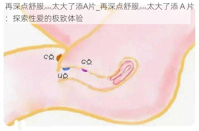 再深点舒服灬太大了添A片_再深点舒服灬太大了添 A 片：探索性爱的极致体验