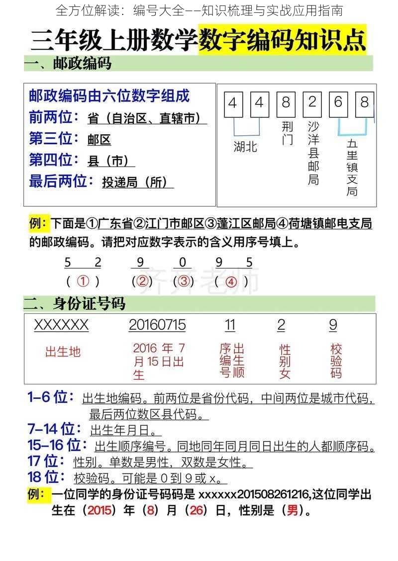 全方位解读：编号大全——知识梳理与实战应用指南