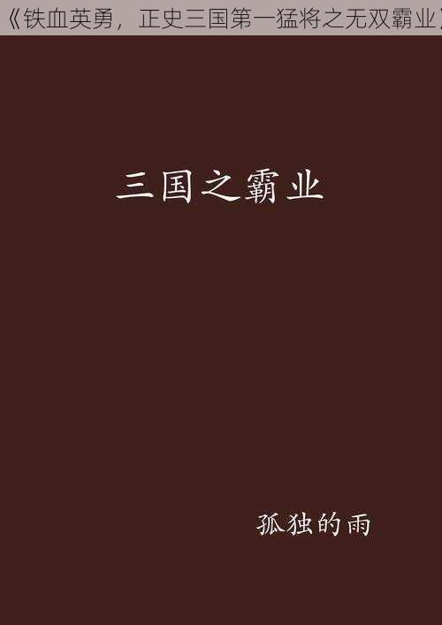 《铁血英勇，正史三国第一猛将之无双霸业》