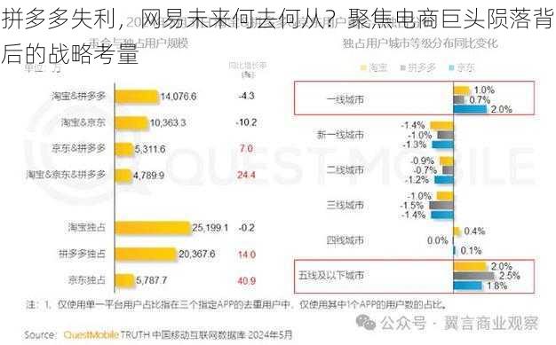 拼多多失利，网易未来何去何从？聚焦电商巨头陨落背后的战略考量