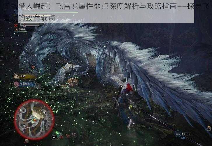 怪物猎人崛起：飞雷龙属性弱点深度解析与攻略指南——探寻飞雷龙的致命弱点