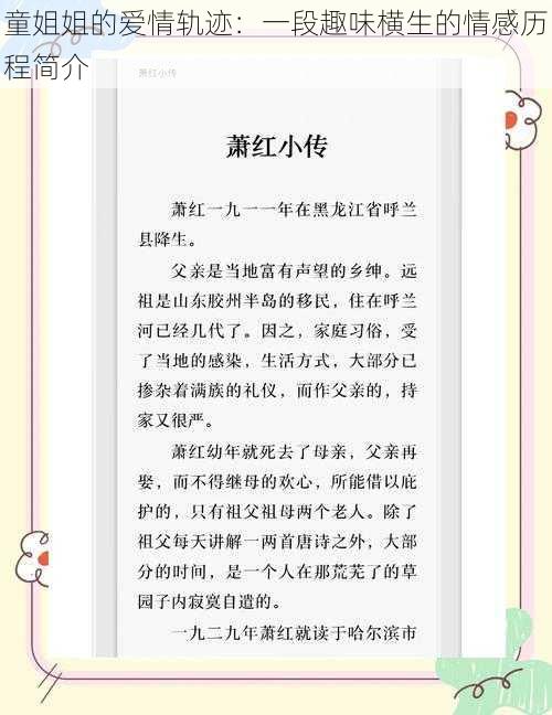 童姐姐的爱情轨迹：一段趣味横生的情感历程简介