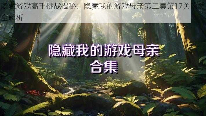 隐藏游戏高手挑战揭秘：隐藏我的游戏母亲第二集第17关攻略全解析